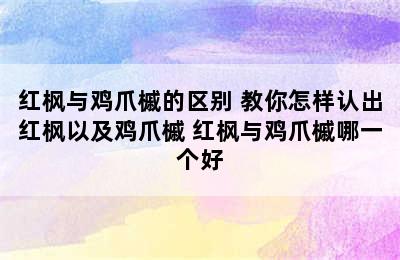 红枫与鸡爪槭的区别 教你怎样认出红枫以及鸡爪槭 红枫与鸡爪槭哪一个好